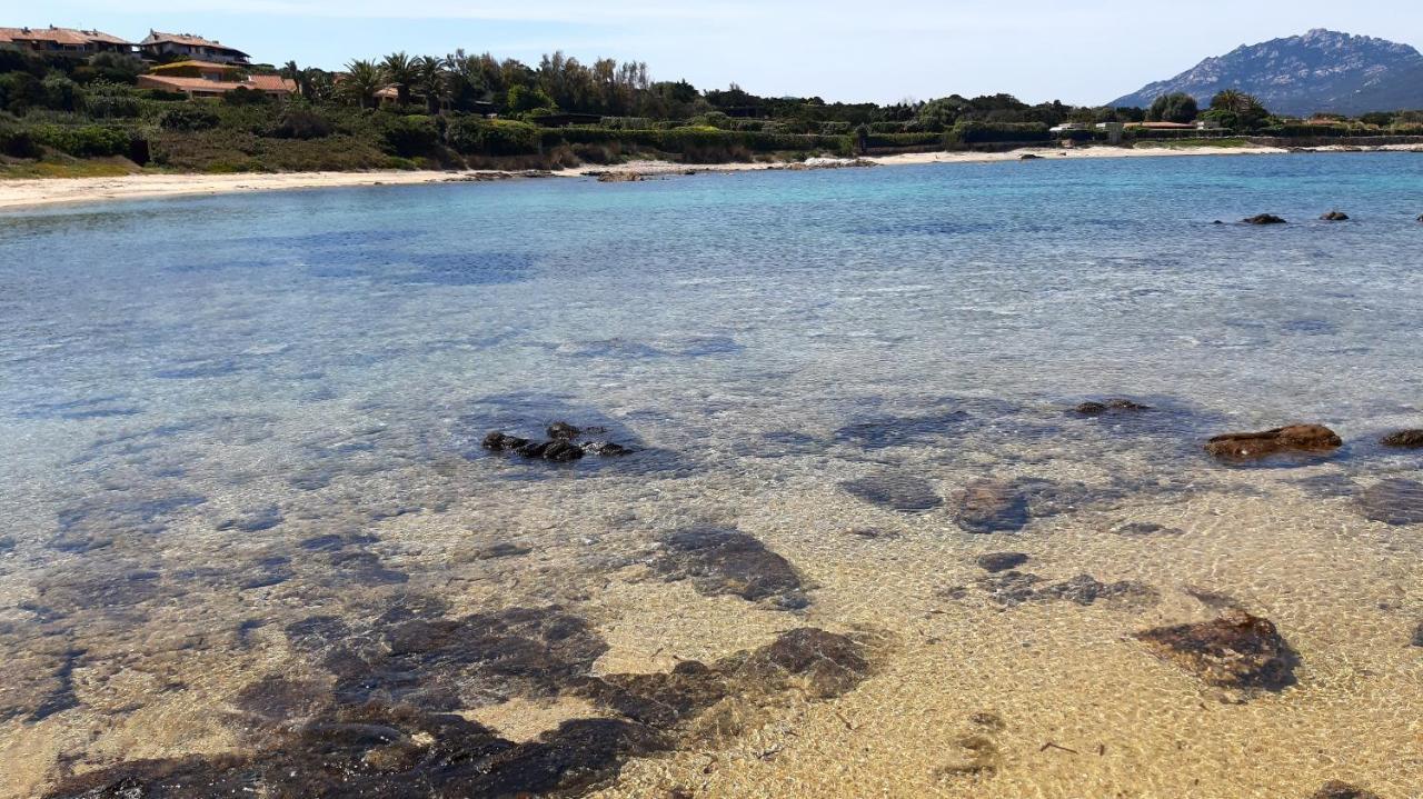 奧爾比亞Lo Sguardo Sulla Citta' ,Panoramic View公寓 外观 照片