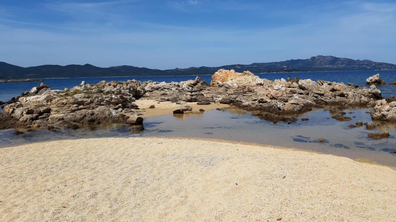 奧爾比亞Lo Sguardo Sulla Citta' ,Panoramic View公寓 外观 照片