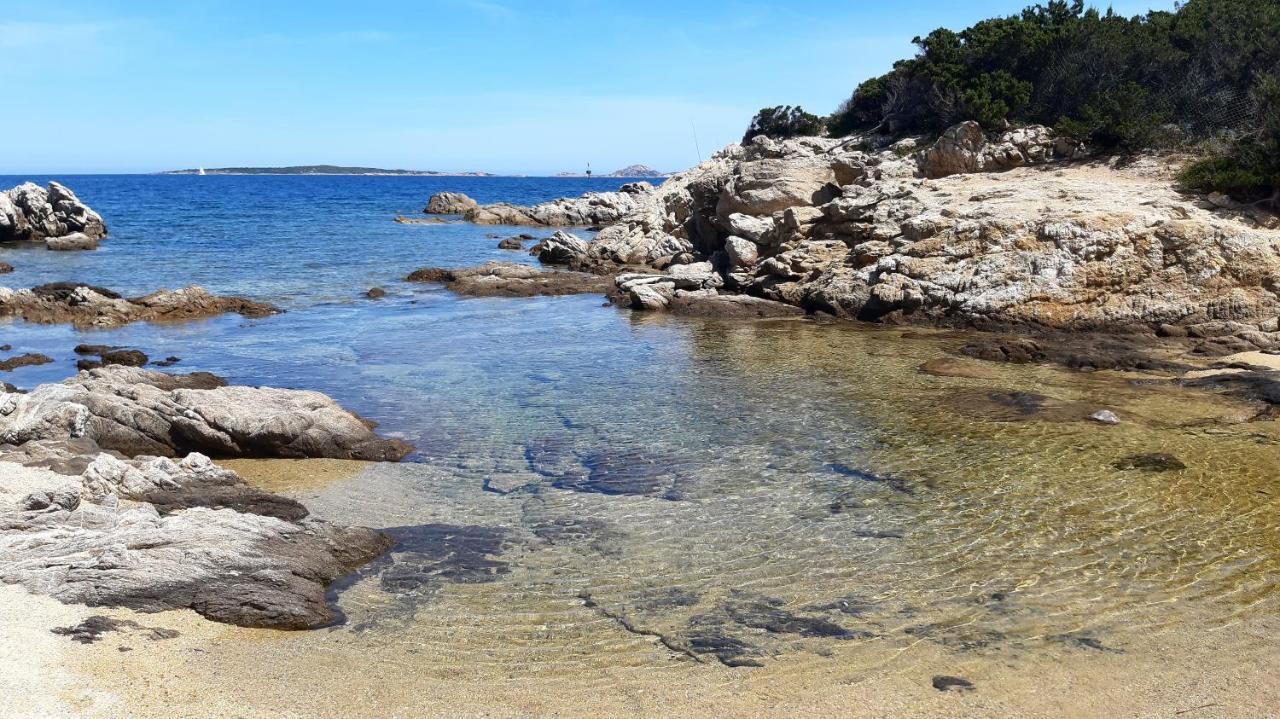 奧爾比亞Lo Sguardo Sulla Citta' ,Panoramic View公寓 外观 照片